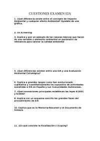Cuestiones examen EIA