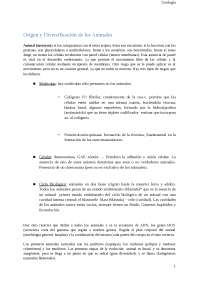 1 semestres