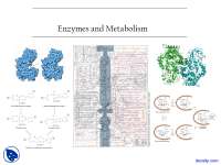 Introduction - Enzymes and Metabolsim - Lecture Slides