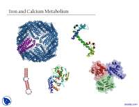 Iron and Calcium Metabolism - Enzymes and Metabolsim - Lecture Slides