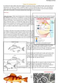Fisiologia Animal - Apuntes de Fisiología Animal - Docsity
