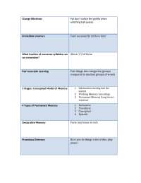 types of cognitive development