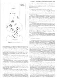 Sistema nervoso autônomo e junção neuromuscular - 001 (l) (20)