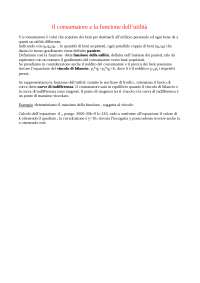 Il consumatore e la funzione dell'utilità