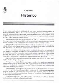 Arquivos P1 - Jurandir Indiana Jones - hist?rico e refina??o
