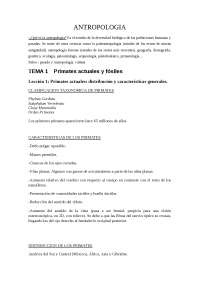 ANTROPOLOGIATEMA 1 Primates actuales y fósiles