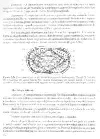 Parasitologia part. 03 - 020