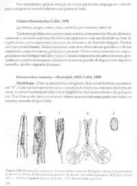 Parasitologia part. 03 - 072