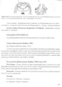 Parasitologia part. 03 - 065