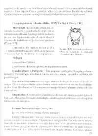 Parasitologia part. 03 - 045