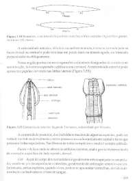 Parasitologia part. 03 - 019