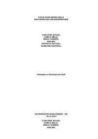 Principios e Diretrizes sus