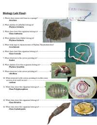 Biology Lab Final - Organismal Biology Laboratory | BIOL 1031 - Docsity