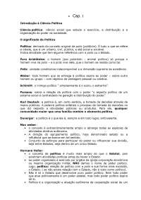 Microsoft Word - resumo ciencia politica