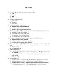 Exam 3 with Answer Key for Cell Biology | BIOL 4374 - Docsity