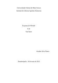 Esquema de Weende