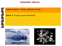 Diseño molecular de vida: el agua como disolvente