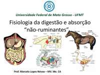 4a. Aula - Fisiologia da digestão e absorção “NÃO - RUMINANTES ...