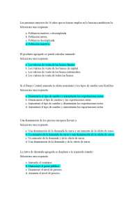 tipo test macro