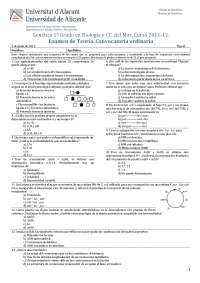 Examen teoria