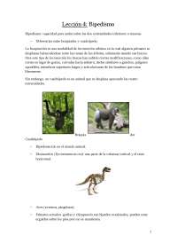 Lección 4. Bipedismo.