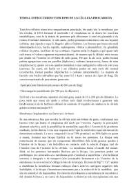Micro tema 2 - Apuntes de Microbiología - Docsity