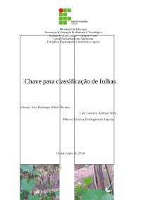 Classificação de plantas