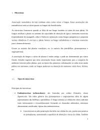 Micorrizas (relação mutualistica entre Plantas e Fungos)