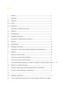 Relatorio sobre praticas de laboratorio 
