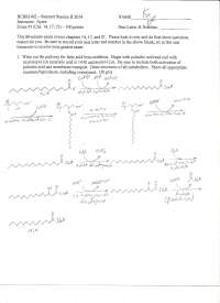 Exam 3 with Answer Key - Biochemistry II - Summer 2014 | BCHM 462