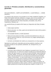 Características y diferencias entre primates estrepsirrinos y haplorrinos - Prof. Zapata C