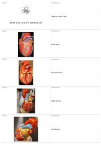 Lab Practical | NURS  - Nursing Science 2 - Intermediate