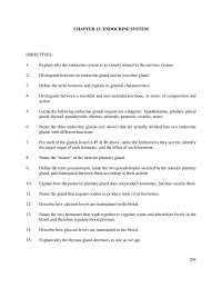 Chapt13 endocrine system