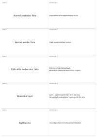 Overview of Common Skin and Deep Tissue Infections in Microbiology