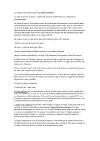 Vínculo Madre-Infante: Neuropsicología y Desarrollo de la Relación Objectal - Prof. Pérez