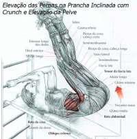Exercícios de musculação - eleva??o das pernas