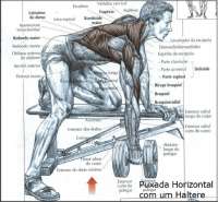 Exercícios de musculação - puxada horizontal com um haltare