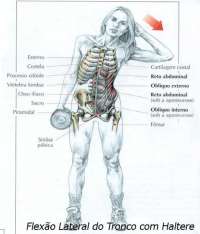 Exercícios de musculação - flex?o alternada com haltares