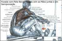 ... - puxada com polia baixa, pegada com as maos juntas e em semiprona??o