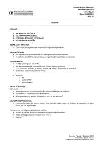 CARREIRAS FISCAIS matutino administraçãogeral msouza aula03 aula04 03052013 EMoniva
