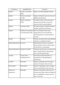 Hormônios da Hipófise, Tireoide, Suprarrenais e Pâncreas: Funções e Funcionalidades