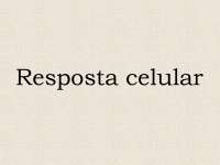 Resposta imune celular