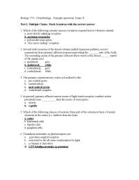 Exam 2 with Answers | Neurobiology | BIOL 570