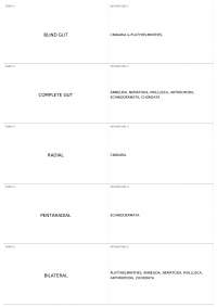 PRACTICAL 2 STUDY | BIOL 1108K - Principles of Biology II - Docsity