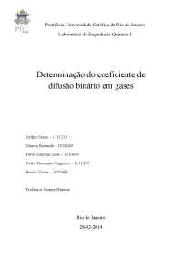 Determinação do coeficiente de difusão binário em gases