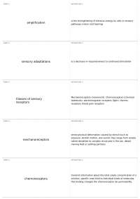 Sensory Systems and Muscular Physiology: A Comprehensive Overview
