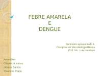 Trabalho sobre dengue e febre amarela