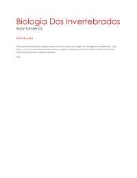 Resumos Invertebrados - Parte I