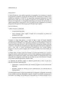 Prehistoria II