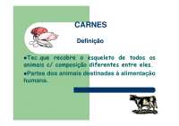 Carnes